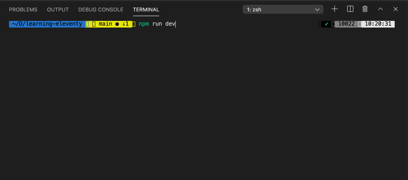 Running the Live Reload Server